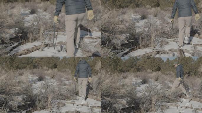 手持照片的高加索男性徒步旅行携带Hack锯步行寻找圣诞树，以砍伐山区景观