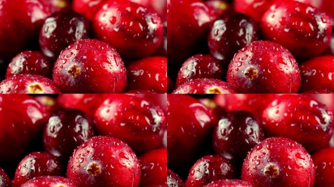 新鲜成熟蔓越莓的宏观视图。