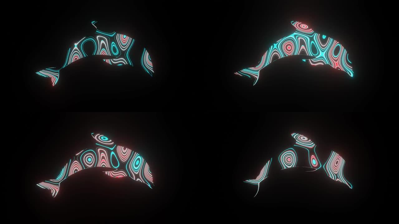 在海豚体形上形成美丽的纹理或图案的4k视频动画，孤立在黑色背景上。海豚上的3d渲染抽象循环动画霓虹灯