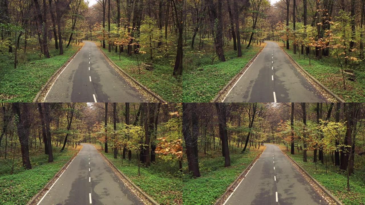 秋季下午，无人驾驶飞机在带有分隔带的森林柏油路上平稳飞行