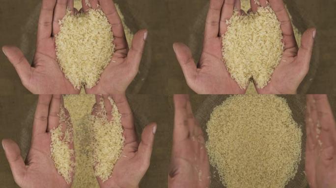 农夫掌中拿着一粒米，将谷物掉进袋子里。