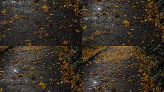 下雨后的秋天乡村路