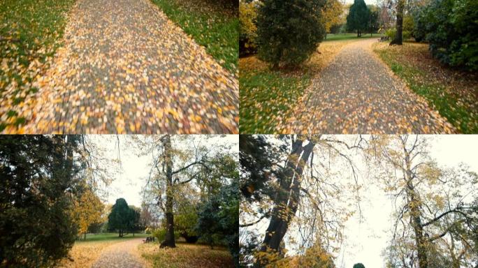 精神放松时，沿着城市公园的秋天路开车。