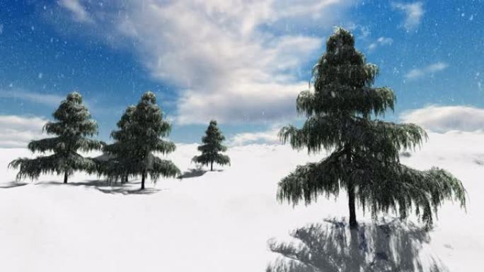 冬天的雪树木平静的一天