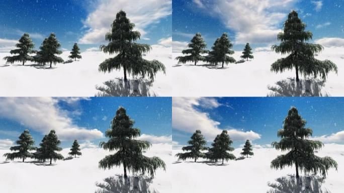 冬天的雪树木平静的一天