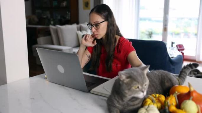 女人在大流行的日子里在家工作，带着她的猫