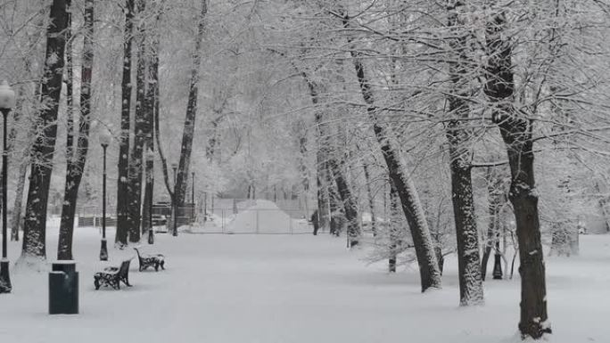 莫斯科的冬季高尔基公园