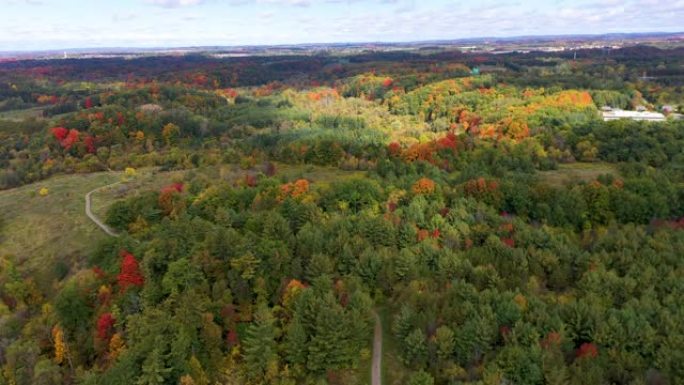 加拿大沃恩伍德布里奇秋季博伊德保护公园的卢瑟福路和威廉·格兰杰·格林威