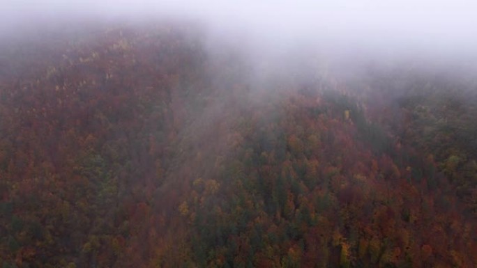 秋季天线。空中公路旅行在雾中蜿蜒的山路上，汽车在秋天经过五颜六色的森林。