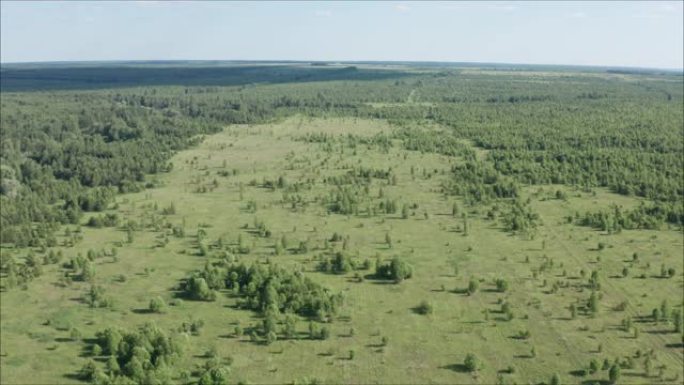 这块地长满了森林。从空中射击。7月份的森林。长满草的森林道路。
