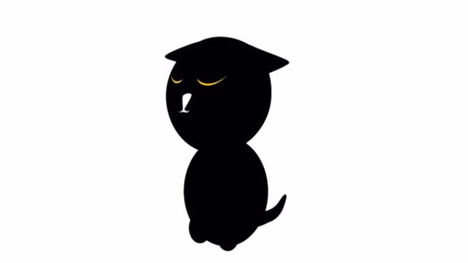 在alpha通道中具有透明背景的视频动画运动的黑猫集。