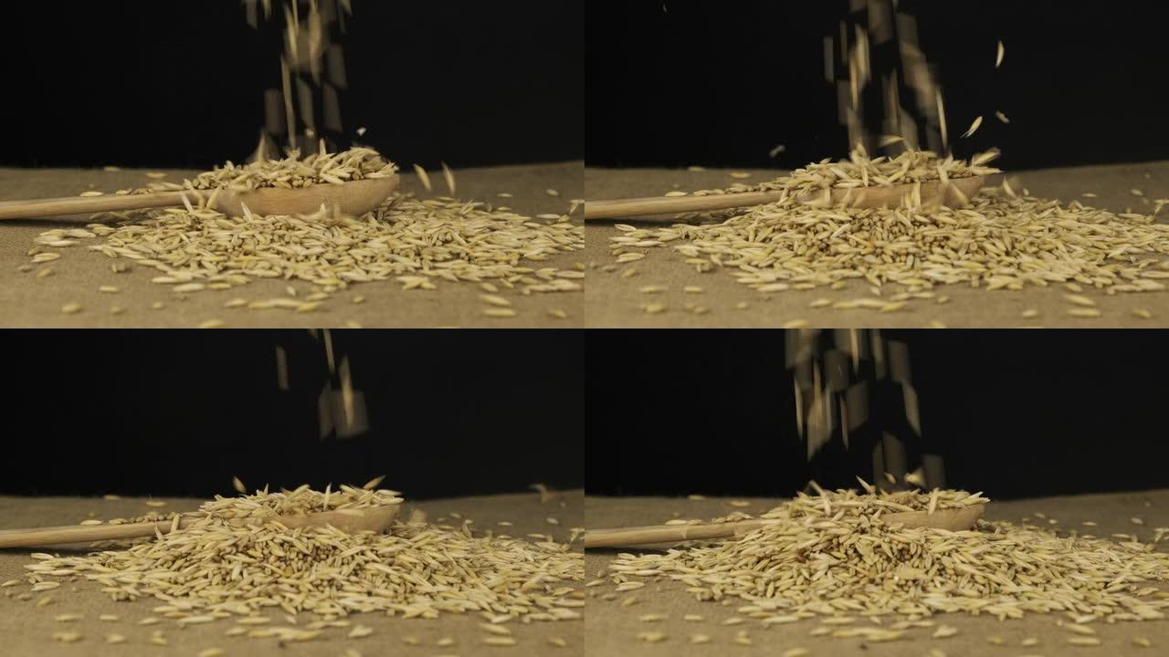 燕麦谷物落入木勺中，然后倒入堆。慢动作。