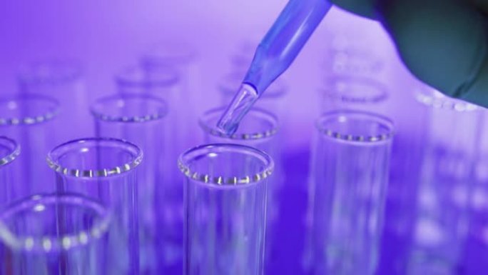 在实验室，紫外线背景下，蓝色液体被放入小瓶中。生物技术、疫苗、生物武器工程概念。