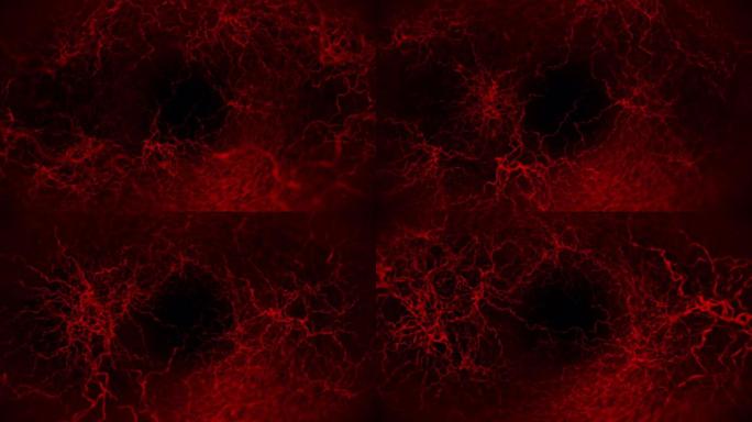 人体血管的3D循环动画。红色毛细血管。黑色背景上的眼血。解剖背景。医学概念。
