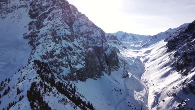 高雪山，云杉生长在地方