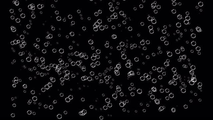 黑色屏幕和阿尔法通道上的动画浮动气泡。二氧化碳的释放。关闭用气泡倒苏打水，起泡葡萄酒，香槟或啤酒。气