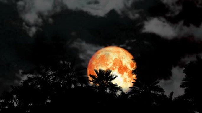 超级血冷月上升后剪影椰子树与乌云在夜空时间流逝