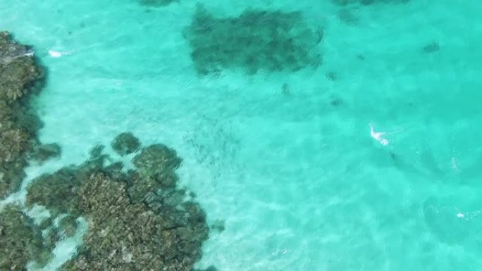 从上面看绿松石水中的原始珊瑚礁。自上而下的航拍画面。Ningaloo Reef，澳大利亚旅游业