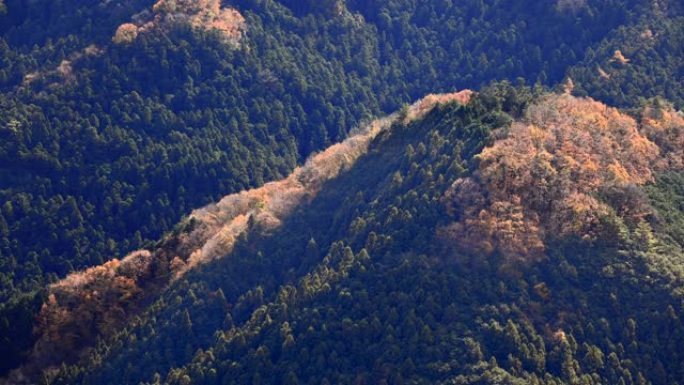 秋山带秋叶山川原始森林意境