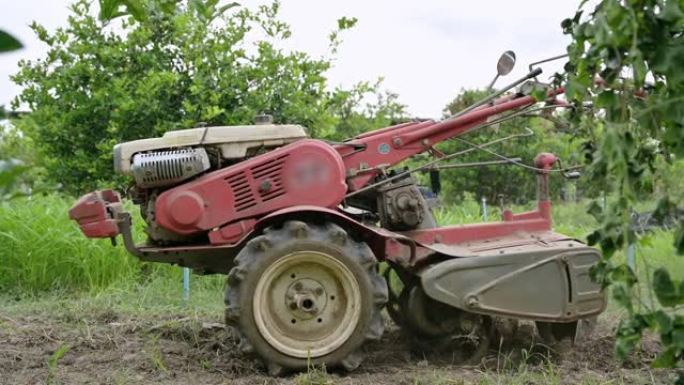 农业工作者控制两轮拖拉机在人工林土壤上的耕作