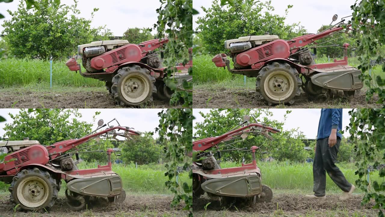 农业工作者控制两轮拖拉机在人工林土壤上的耕作