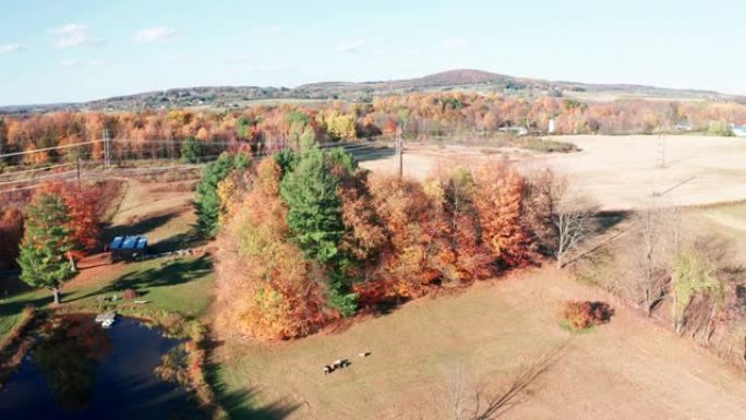 空中无人机在原始的农场景观上飞升，秋天的颜色