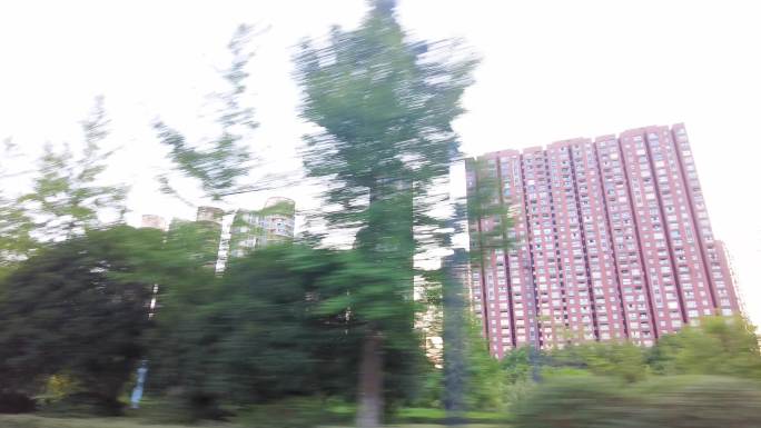 城市郊外开车窗外的树林