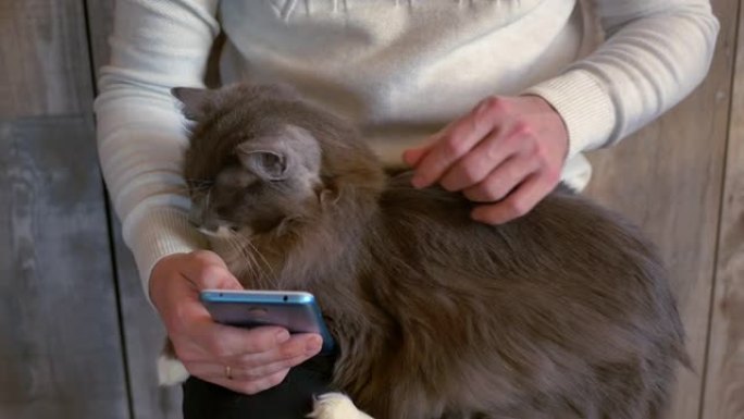 一个男人抚摸猫并使用智能手机
