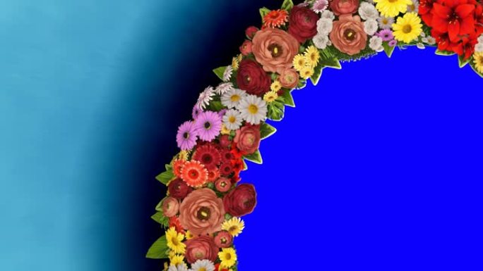 蓝色背景上旋转的花朵环的动画。色度键。循环视频