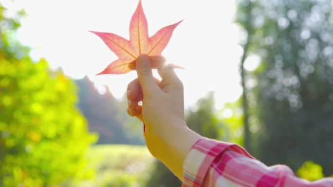秋天-一个女孩在阳光下拿着一片叶子，享受美丽的强烈秋天的色彩-POV拍摄