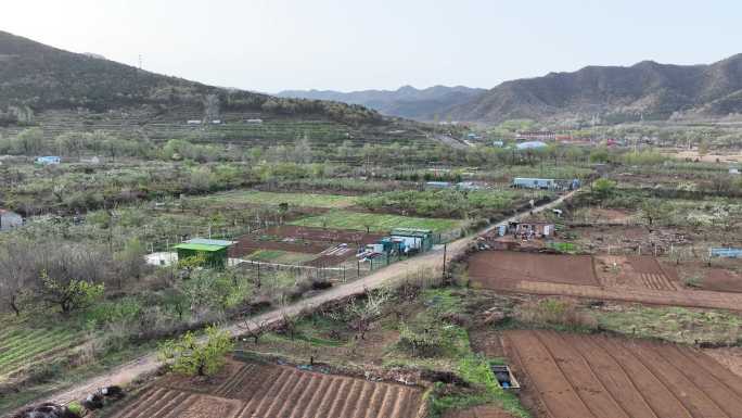 航拍威海里口山福德庄村东侧的田野果园