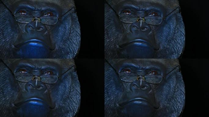 大猩猩头镜深色背景高清镜头