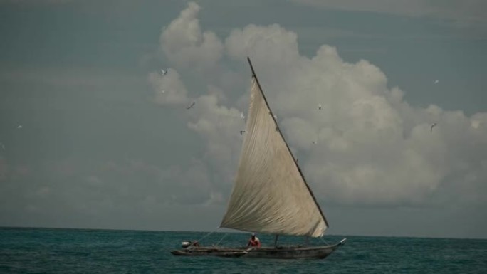 印度洋桑给巴尔岛岸边渔夫船