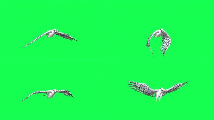 猎鹰滑行和拍打-绿色屏幕上孤立的猛禽飞行的3D动画