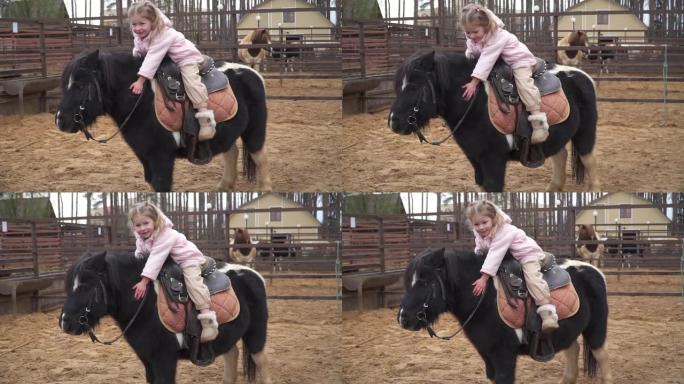 快乐的孩子坐在小马身上。农场里的马骑手拥抱她的宠物。女孩笑了