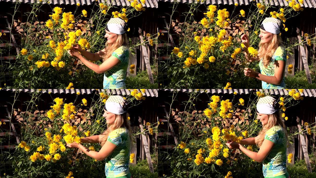 美丽的乡村妇女在乡村花园里摘黄色的花。4K