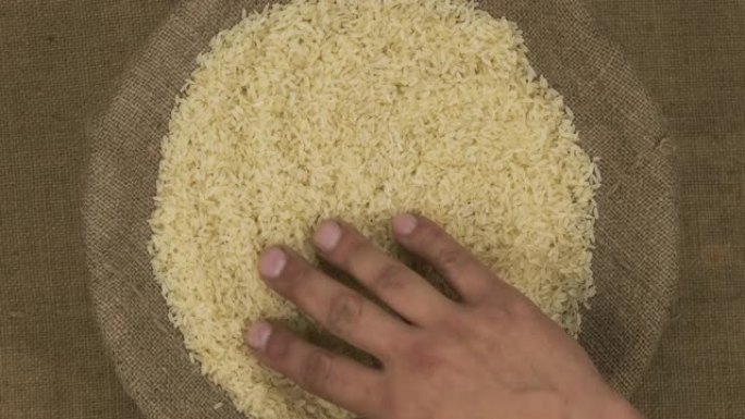 农民控制袋子里米粒的质量。手检查种子。