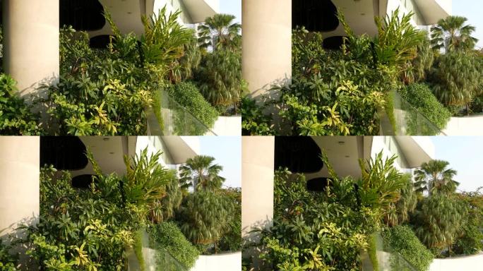 绿色环保理念的商场设计。露台上的露天空中花园。未来主义生态建筑。现代城市