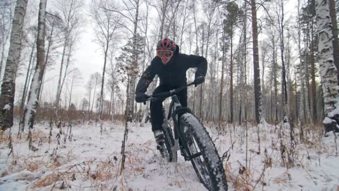 专业极限运动员骑自行车的人在户外骑胖自行车。骑自行车的人在冬天的雪林里骑。男人确实在戴着头盔和眼镜的
