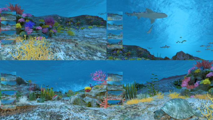 VR海底鱼群360度全景4K
