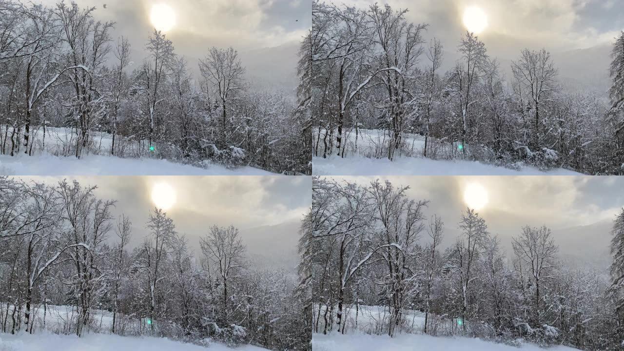白雪覆盖的特伦蒂诺风景中的日出