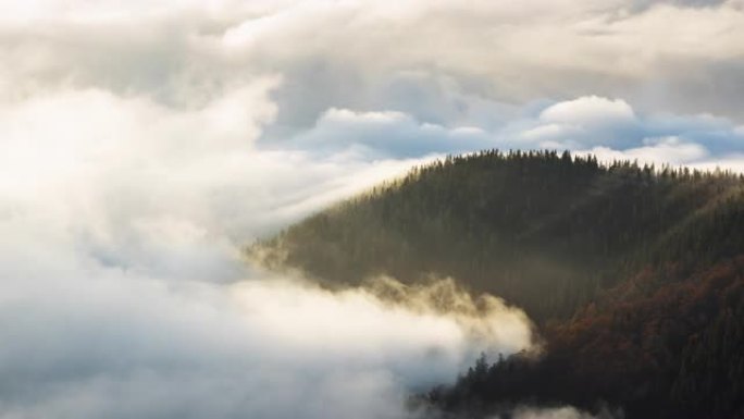 反转云在森林中移动的4k时间流逝，斯洛伐克低塔特拉