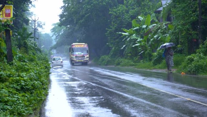 潮湿多雨的道路上的交通，旁边是绿色植被。