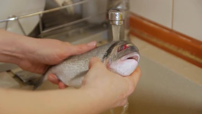 手洗鱼