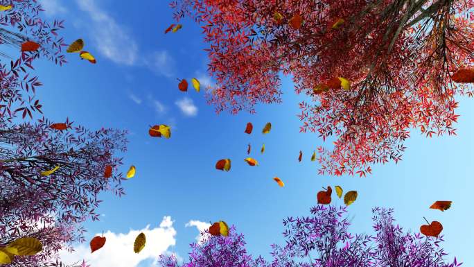 色彩斑斓 秋天 风吹落叶