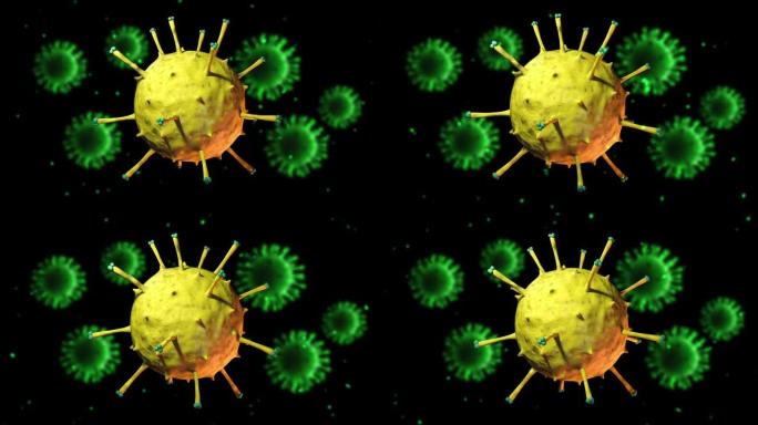三维病毒和细菌动画的显微视图