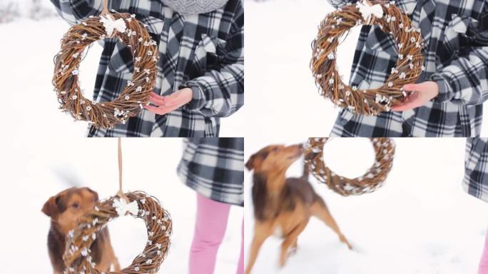女孩展示了树枝的花环。门上的圣诞花环。狗在雪地里玩耍