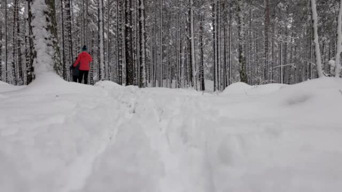 在深新鲜的雪中滑雪旅行-年轻夫妇在雪中的冬季森林中滑雪