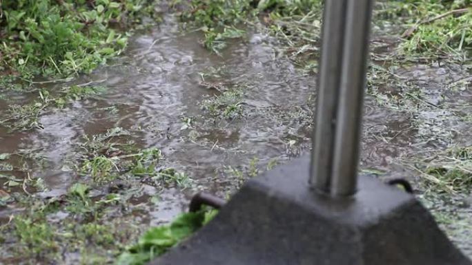 雨中湿杂草。雨水使地面变得水坑。