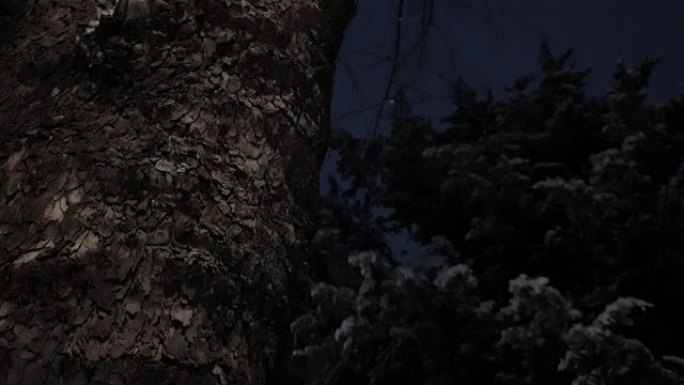 漆黑的傍晚，清澈的木柱和微弱的积雪